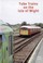 Cover of: Tube Trains On The Isle Of Wight