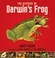 Cover of: The Mystery Of Darwins Frog