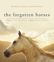 Cover of: The Forgotten Horses by 