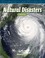 Cover of: Natural Disasters Estimating Diana Noonan