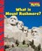 Cover of: What Is Mount Rushmore
            
                Scholastic News Nonfiction Readers American Symbols