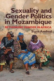 Cover of: Sexuality And Gender Politics In Mozambique Rethinking Gender In Africa