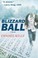 Cover of: BlizzardBall