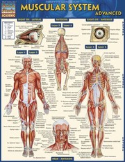 Cover of: Muscular System Advanced