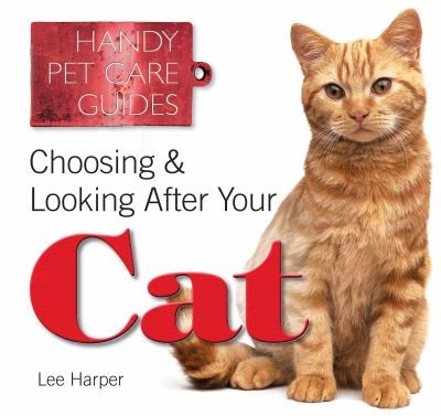 How To Choose And Care For Your Cat