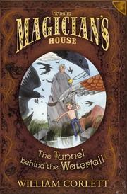 Cover of: Tunnel Behind the Waterfall (The Magician's House, Book 3) (Magician's House Quartet)