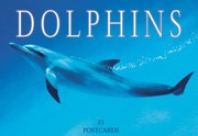 Cover of: Dolphins Postcard Book by 