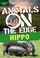 Cover of: Hippo