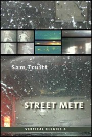 Cover of: Vertical Elegies 6 Street Mete