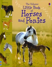 Cover of: The Usborne Little Book Of Horses And Ponies by 