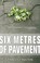 Cover of: Six Metres Of Pavement A Novel