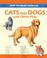 Cover of: How To Draw Cats And Dogs And Other Pets