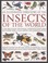 Cover of: An Illustrated Directory Of The Insects Of The World A Visual Reference Guide To 650 Arthropods Including All The Common Species Such As Beetles Spiders Crickets Butterflies Moths Grasshoppers And Flies