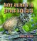 Cover of: Baby Animals In Forest Habitats