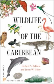 Cover of: Wildlife Of The Caribbean by 