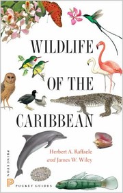 Wildlife Of The Caribbean by Herbert A. Raffaele