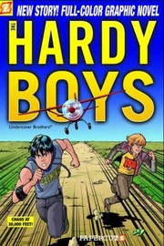 Cover of: Chaos at 30,000 Feet!: The Hardy Boys Graphic Novel #19