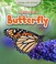 Cover of: Life Story of a Butterfly