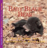 Cover of: Baby Black Bear