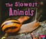 Cover of: The Slowest Animals
            
                Pebble Plus Extreme Animals Paperback