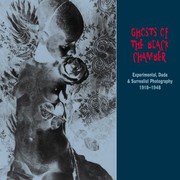 Cover of: Ghosts Of The Black Chamber