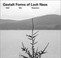 Cover of: Gestalt Forms Of Loch Ness Grid Site Sequence