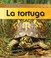 Cover of: La Tortuga