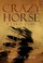 Cover of: Crazy Horse A Lakota Life