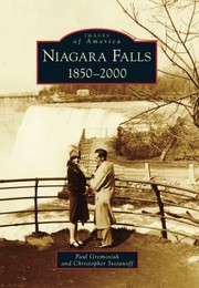 Cover of: Niagara Falls 18502000 by 