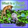 Cover of: What Is A Food Chain