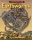 Cover of: Lowdown On Earthworms