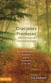 Cover of: Oraciones Y Promesas