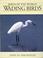 Cover of: WADING BIRDS