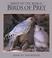 Cover of: BIRDS OF PREY