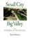 Cover of: Small city in a big valley