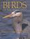 Cover of: Birds of the Raincoast