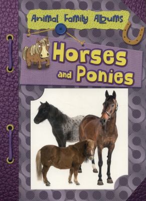 Horses And Ponies