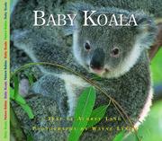 Cover of: Baby Koala (Nature Babies) by Aubrey Lang