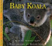 Cover of: Baby Koala (Nature Babies) by Aubrey Lang