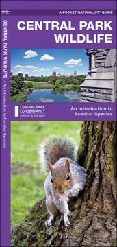 Cover of: Central Park Wildlife An Introduction To Familiar Species
