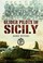 Cover of: Glider Pilots In Sicily