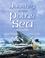 Cover of: Journey to the Polar Sea