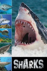 Cover of: Sharks