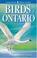 Cover of: Birds of Ontario