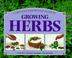 Cover of: A Creative Step-By-Step Guide to Growing Herbs (Step-By-Step Gardening)