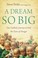 Cover of: A Dream So Big Our Unlikely Journey To End The Tears Of Hunger