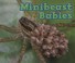 Cover of: Minibeast Babies
