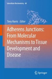 Cover of: Adherens Junctions From Molecular Mechanisms To Tissue Development And Disease