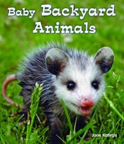 Cover of: Baby Backyard Animals