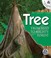 Cover of: Tree From Seed To Mighty Forest